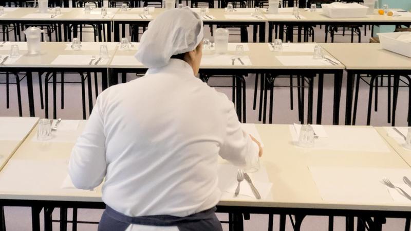 Villasanta, scoppia la bufera per un insetto nel piatto di un bambino a scuola Villasanta, scoppia la bufera per un insetto nel piatto di un bambino a scuola