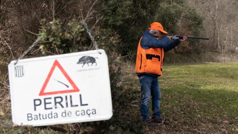 Salvem el porc català