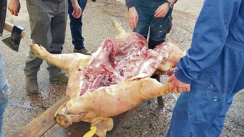 La matanza como símbolo de identidad rural