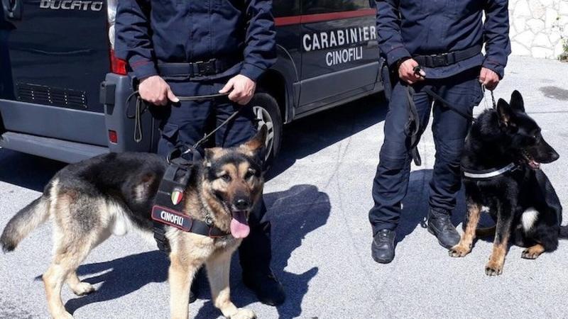 Salerno, Avellino e Napoli, blitz antidroga: arresti per traffico di cocaina e crack