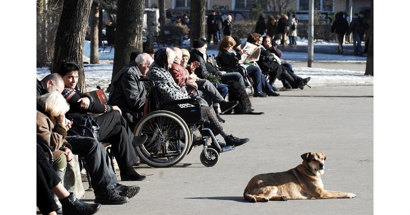 Адриан Николов, Институт за пазарна икономика Адриан Николов, Институт за пазарна икономика