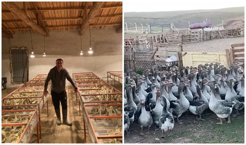 Cıfıt Çarşısı Cıfıt Çarşısı