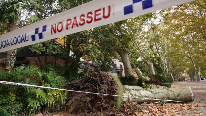 La Devesa: valentia i responsabilitat