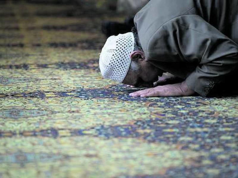 Il riscatto del prosciutto