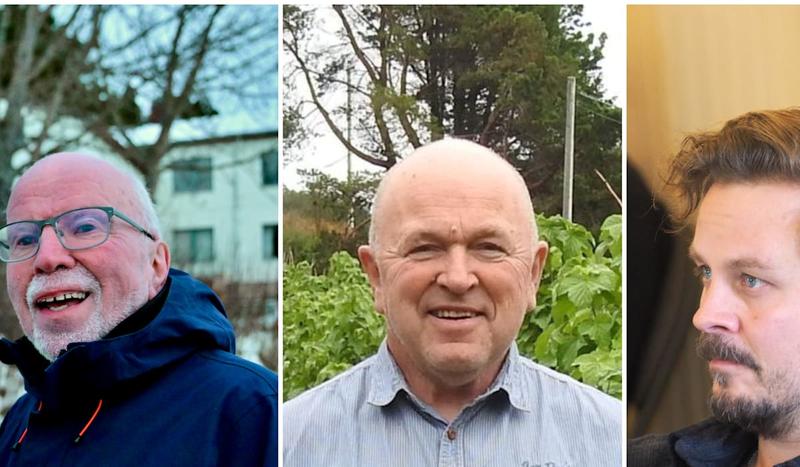 «Harstad er et trygt og faglig godt samarbeid»