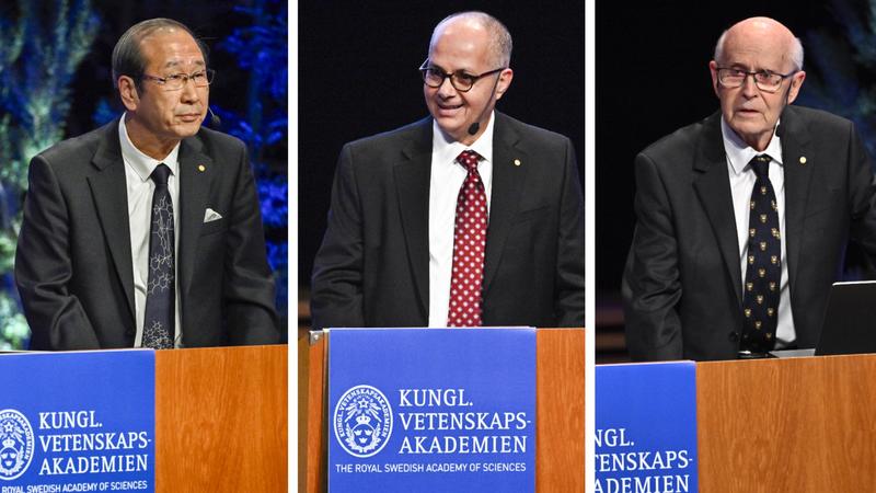 Legobyggande på molekylnivå öppnar för rening av Hjälmaren