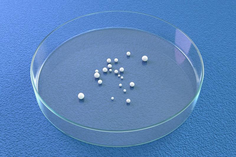 Mini brains, big questions: science is racing ahead of ethics