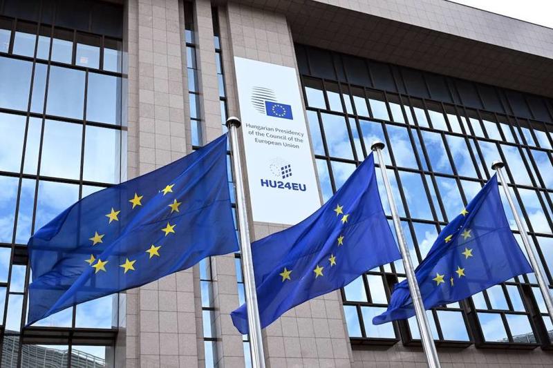 Inside Europe’s largest crackdown on humanitarian aid: The ERCI trial Inside Europe’s largest crackdown on humanitarian aid: The ERCI trial