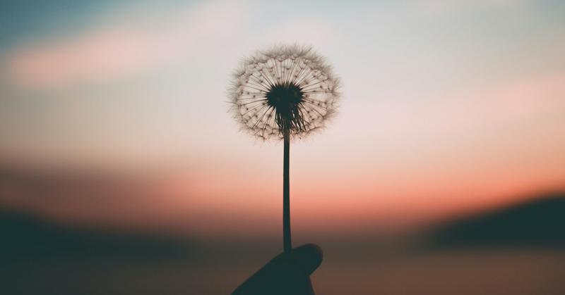 Breaking Bad: Understanding Problematic Pornography Use