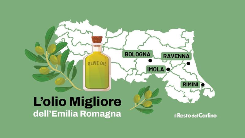 Olio in Emilia Romagna, i migliori 7 secondo la guida Flos Olei 2026: i frantoi da scoprire