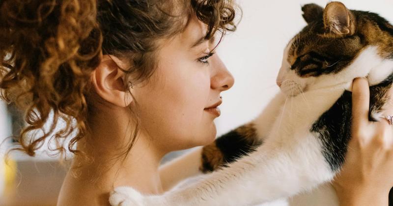 When Hospitality Hides Loneliness