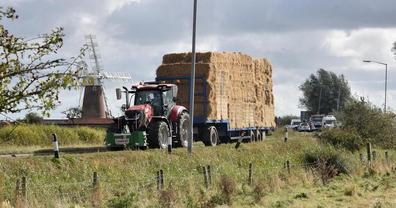 Renting prime land for solar farms 'too good an opportunity' for Norfolk farmers