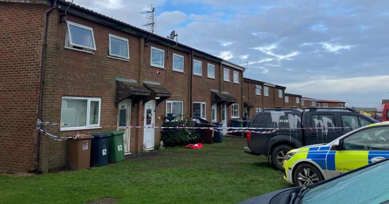 Murdered man died of multiple organ failure due to burns Murdered man died of multiple organ failure due to burns