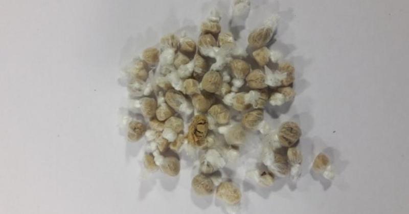 Contaminated drug warning issued for Norwich