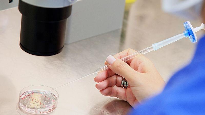 Quasi 200 bambini nati da un donatore sperma a rischio cancro: alcuni sono già morti Quasi 200 bambini nati da un donatore sperma a rischio cancro: alcuni sono già morti