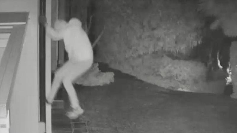 «Acrobati del forellino», altre due razzie di gioielli. Trovato gas narcotizzante «Acrobati del forellino», altre due razzie di gioielli. Trovato gas narcotizzante