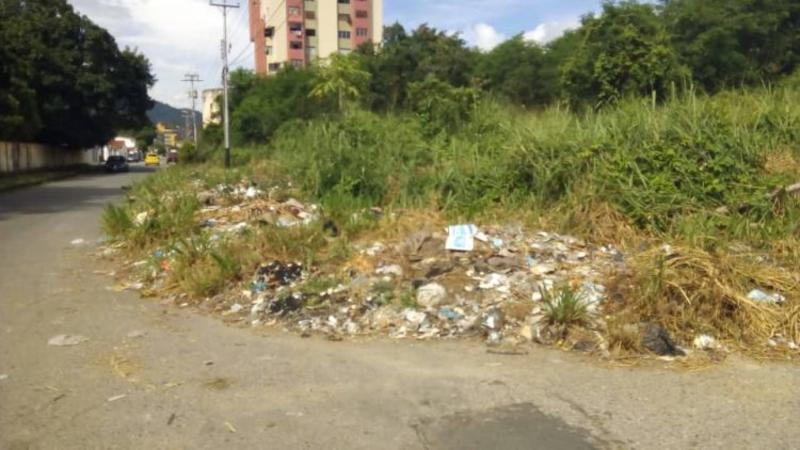 Alcalde de Valera anuncia decreto y multas severas contra dueños de terrenos baldíos y abandonados Alcalde de Valera anuncia decreto y multas severas contra dueños de terrenos baldíos y abandonados