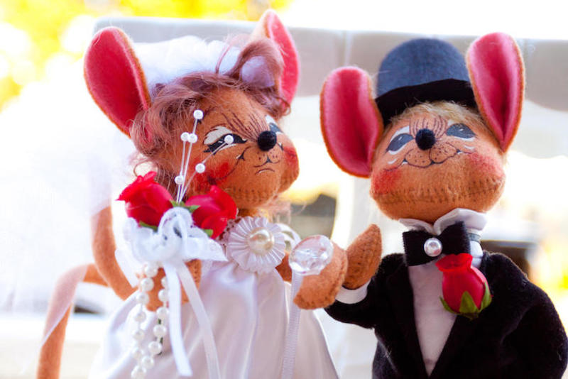What humans can learn from mice about monogamy