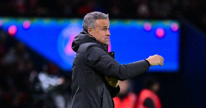 Treinador e gestor emocional