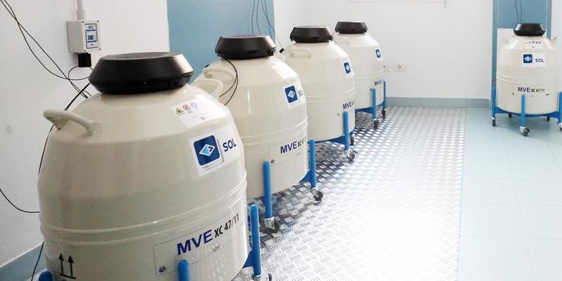 Sequestro embrioni a Lagosanto, il giudice rigetta la richiesta Sequestro embrioni a Lagosanto, il giudice rigetta la richiesta