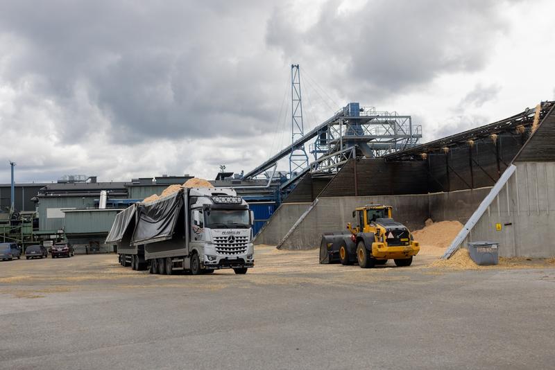 Politiikka | Lukijalta: Puun energiakäytön rajoittaminen olisi lyhytnäköistä ja kapeakatseista