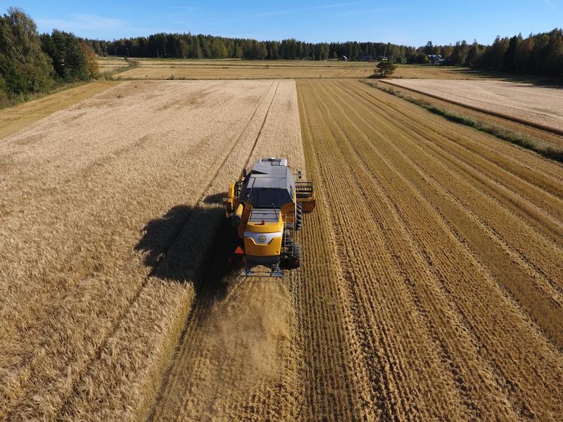 Talous | Lukijalta: Suomalaisen viljelijän talousahdinko uhkaa koko ruokaketjua