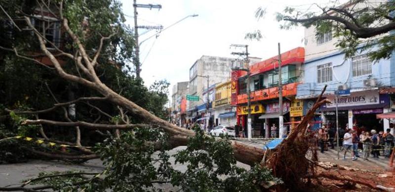Milhões sem luz em SP (de novo) lembram que a culpa não é do vento