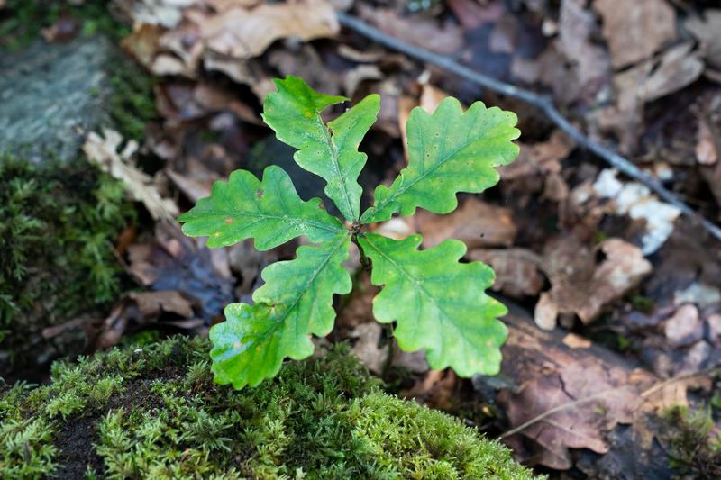 Vi kan ikke fortsette å ta mer fra naturen enn vi gir tilbake Vi kan ikke fortsette å ta mer fra naturen enn vi gir tilbake