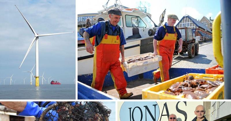 Closure-threatened factory blames wind farms for fewer crabs in Norfolk's waters