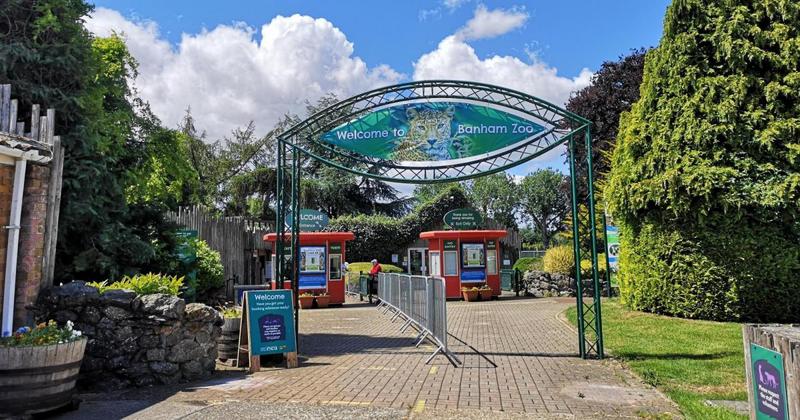 Adorable new additions born at Norfolk zoo