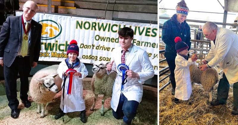 Four-year-old champion celebrates victory at livestock market's Christmas show