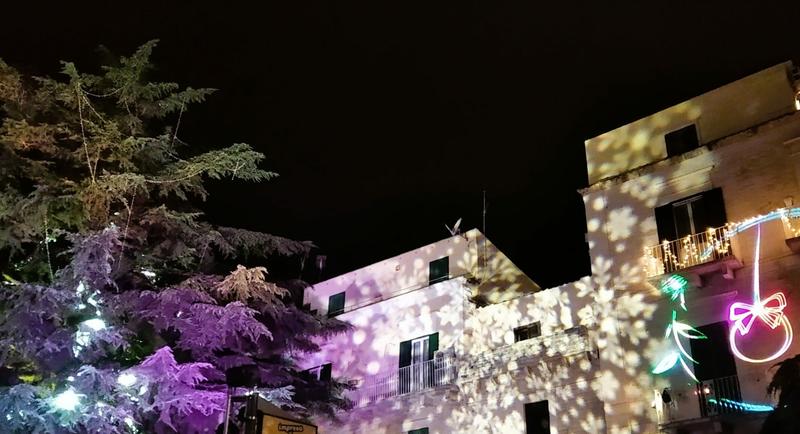 Il Cedro Deodara si veste di nuova luce Foto e Video