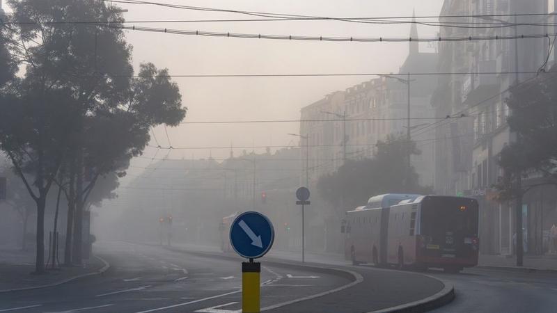 Kako se zaštititi od zagađenog vazduha i smanjiti rizike po zdravlje Kako se zaštititi od zagađenog vazduha i smanjiti rizike po zdravlje