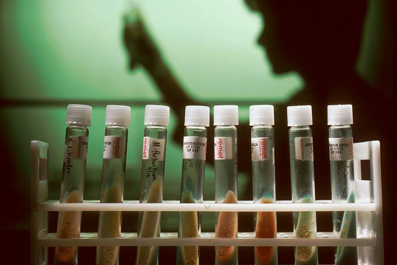 Should Australia establish an independent body to investigate scientific misconduct? We asked 5 experts