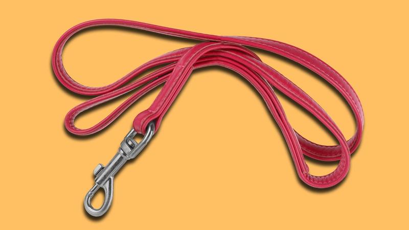 Nobelpreisträger | Nobelpreisträger László Krasznahorkai entdeckt in seinem neuen Roman die Reichsbürger