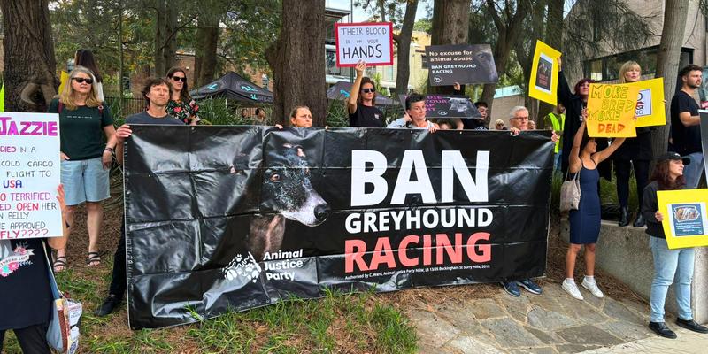 Community’s green space win in Ultimo shouldn’t mean trade-offs Community’s green space win in Ultimo shouldn’t mean trade-offs