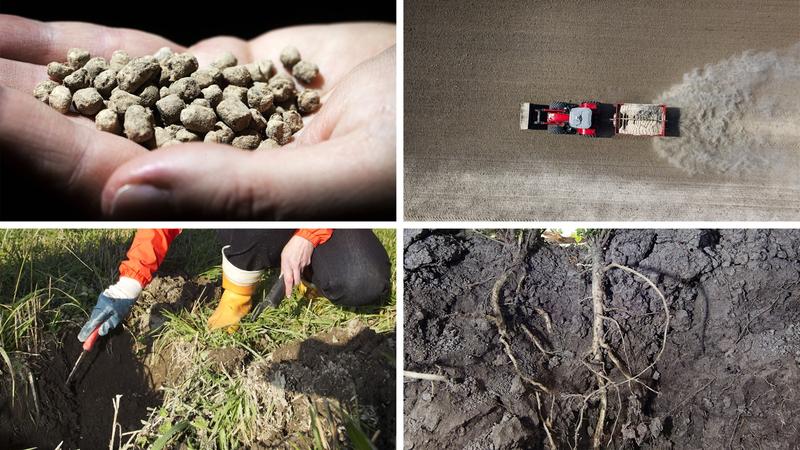 Maatalouden ympäristötoimet | Yliö: Aloittaako maaperädirektiivi kierrätysravinteiden uuden aikakauden?