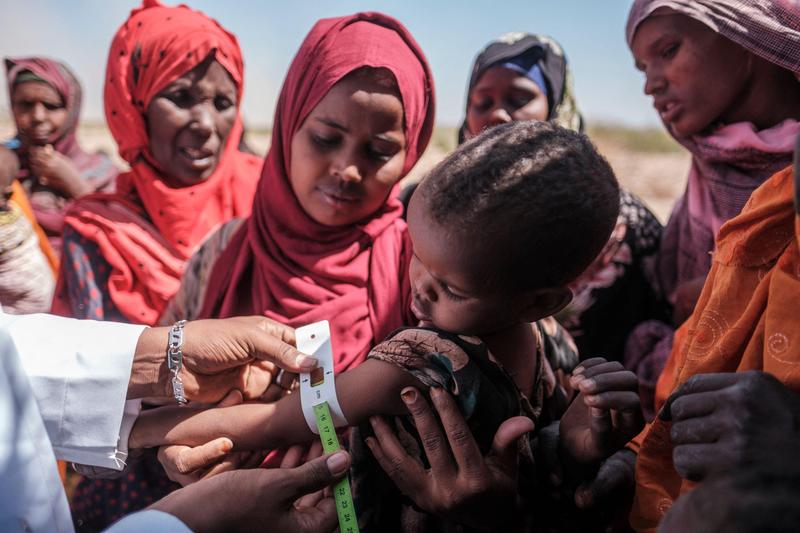 America’s Top 100 Charities: A Year Of Pain After Trump Cuts