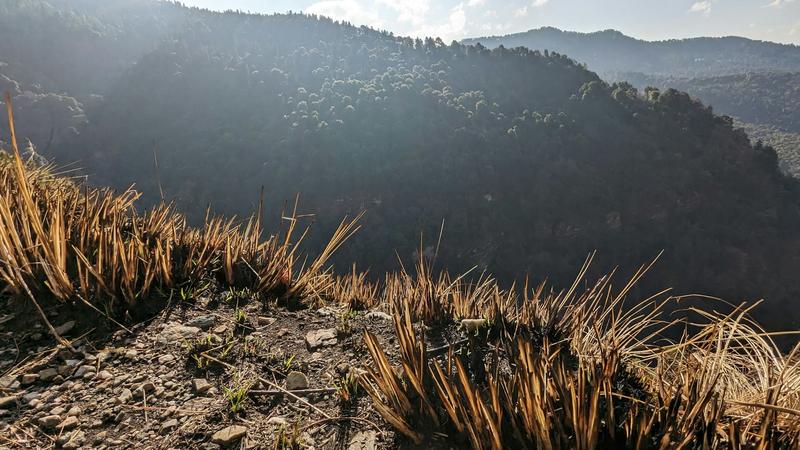 How traditional Himalayan burning could help prevent mega wildfires How traditional Himalayan burning could help prevent mega wildfires