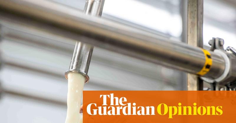 RFK Jr is a danger to public health – but local Maha laws could be a bigger threat RFK Jr is a danger to public health – but local Maha laws could be a bigger threat