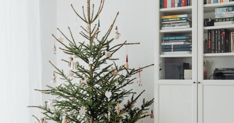 Preventing Holiday Stress Arising From Comparisons