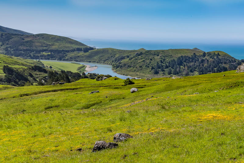 Calif. biologist accidentally discovers endangered fish in Sonoma County