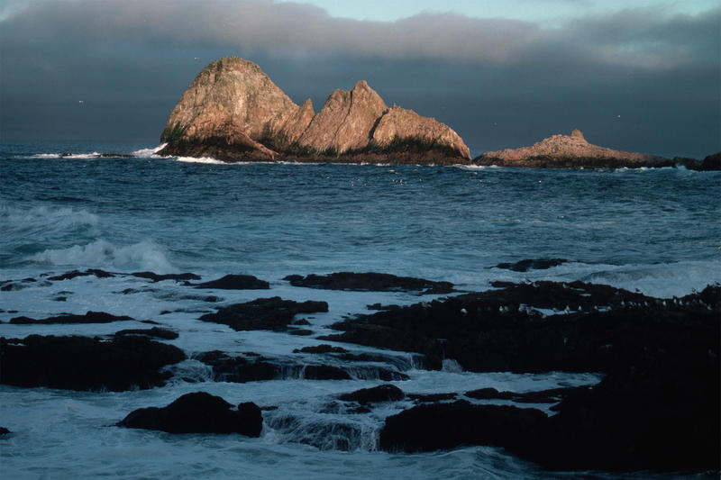 'Spectacular' phenomenon descends on San Francisco's Farallon Islands