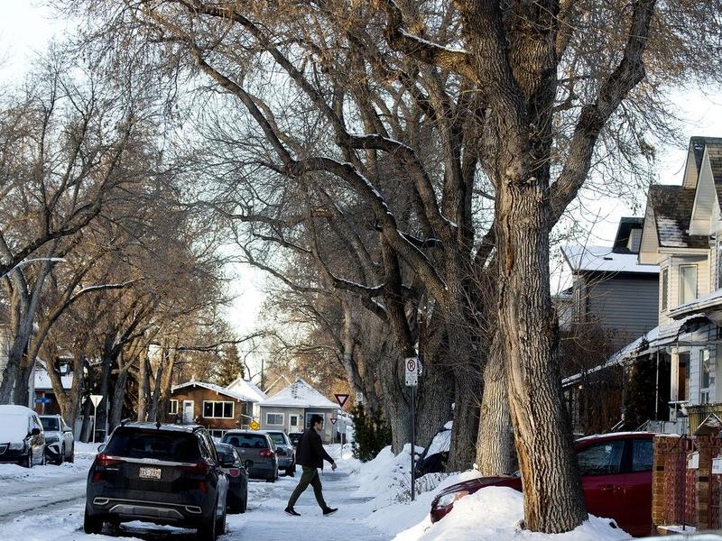 Opinion: Time for Edmonton to charge for on-street, overnight neighbourhood parking The subject of infill development has sparked significant debate in Edmonton, with concerns centring on how it changes neighbourhoods. Key points of contention include issues surrounding parking, increased population densities, crime rates, and the contrast between large apartment complexes and single-family homes.