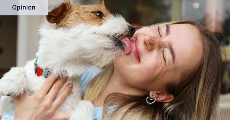 Why science says you should let your dog lick your face Why science says you should let your dog lick your face