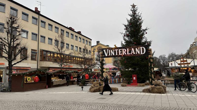 Någon måste sätta ner foten – mot Vinterland