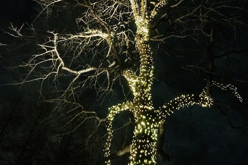 Koti | Joulun valohärdelli on lähtenyt käsistä, mutta se tekee hyvää!