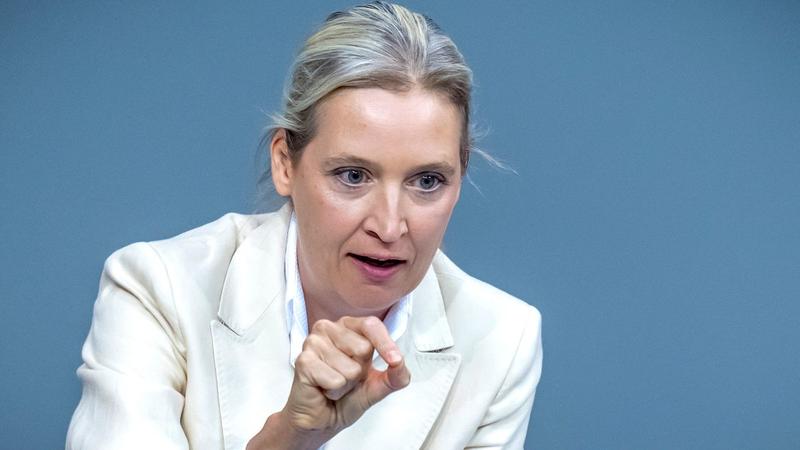 Hat Alice Weidel sich strafbar gemacht?