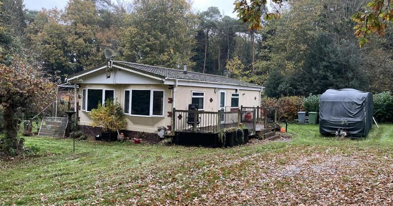 Auction firm finishes 2025 with ‘standout’ livestream auction results Auction firm finishes 2025 with ‘standout’ livestream auction results