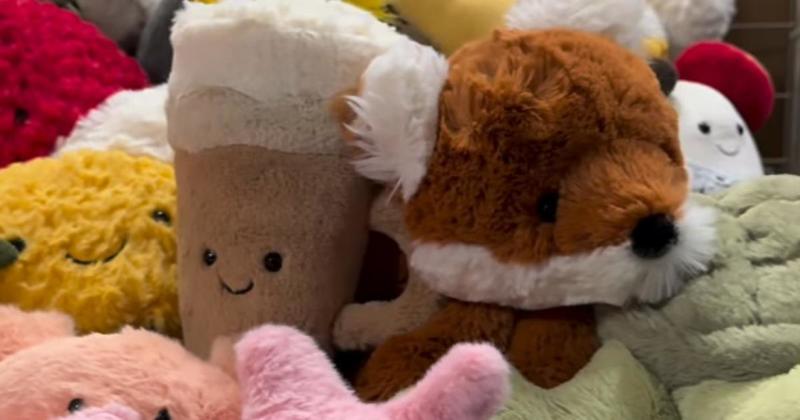 Norwich shop gets giant delivery of sell-out toys during nationwide shortage Norwich shop gets giant delivery of sell-out toys during nationwide shortage